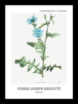 Zakito Posters Plakat 13x18cm Design Chicory, Redoute Vintage za Dnevno Sobo