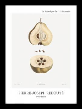 Zakito Posters Plakat 13x18cm Design Hruška, Redoute Vintage za Dnevno Sobo