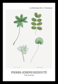 Zakito Posters Plakat 20x30cm Design Tree Leaf Set, Redoute Vintage za Dnevno Sobo