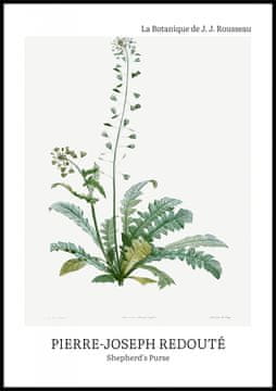 Zakito Posters Plakat 70x100cm Design Shepherda, Redoute Vintage za Dnevno Sobo