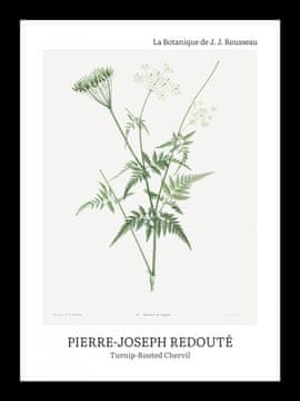 Zakito Posters Plakat 13x18cm Oblikovanje Pokvarjena Koper, Redoute Vintage za Dnevno Sobo