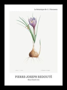 Zakito Posters Plakat 13x18cm Oblikovanje Modri Nizozemski Iris, Redoute Vintage za Dnevno Sobo