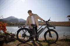 A DECE OASIS 260T električno kolo, tovorno, 250 W, do 180 km, sivo