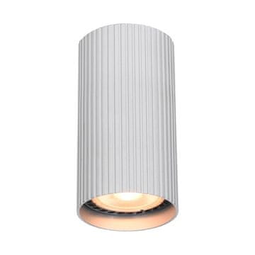 Italux Nadogradna svetilka RILOK CLN83920SALU Italux