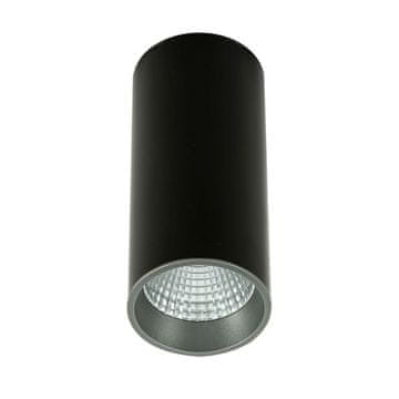 Italux Moldes Big BLGR Celing 3000K SLC739212W 3000K BLGR Italux