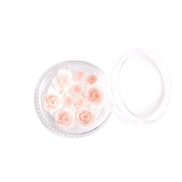HI HYBRID 3D okraski za nohte Roses #903 Rose Garden
