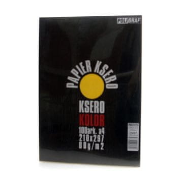 shumee barvni fotokopirni papir 100 listov A4 80G/M2