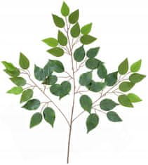ARPEX Benjaminova veja, 65x45 cm, 1 kos.