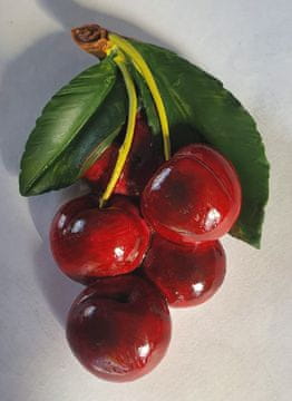 shumee Magnet za hladilnik CHERRY 10 kosov CERHM6867