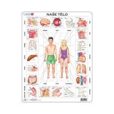 NAŠE TELO 35 d. EDU Sestavljanka