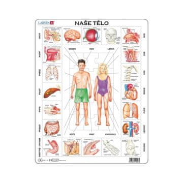 NAŠE TELO 35 d. EDU Sestavljanka