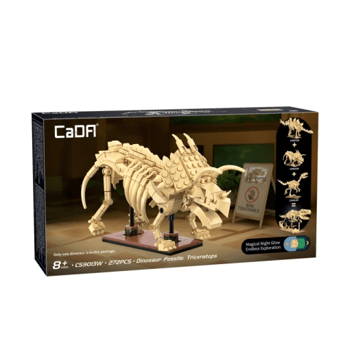 CaDA Dinosaur Fossils: Triceratops (C59013W)