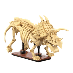 dinozavrov fosil: Triceratops, 272 kosov (C59013W)