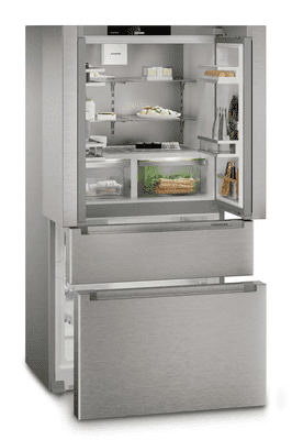 Liebherr InfinitySpring in IceMaker