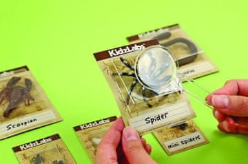 4M KidzLabs Izkopavanje zajedavci