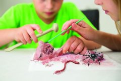 4M KidzLabs Izkopavanje zajedavci