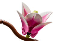 LEGO Botanicals 11510 Vejice magnolije