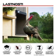 RUN-CHICKEN RUN–CHICKEN Avtomatska vrata za kokošnjak – GIANT SIVA ( z Bluetooth)