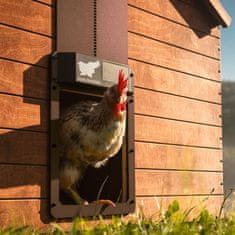 RUN-CHICKEN Solarna avtomatska vrata za kokošnjak Eternal – v rjavi barvi (z Bluetooth)