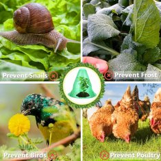 Nikcorp Vrtni zaščitni zvonovi proti polžem, set 15 kosov, 26,5 x 24,5 cm, mini topla greda za sadike, PET plastika, zelena barva