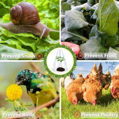 Nikcorp Zaščita za rastline in sadike proti polžem, komplet 24 kosov, mini rastlinjak iz PET plastike, prozoren vrtni zvon