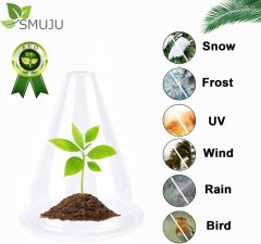 Nikcorp Zaščita za rastline in sadike proti polžem, komplet 24 kosov, mini rastlinjak iz PET plastike, prozoren vrtni zvon