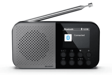 Sharp Prenosni DAB radio OSAKA DR-P520 GY