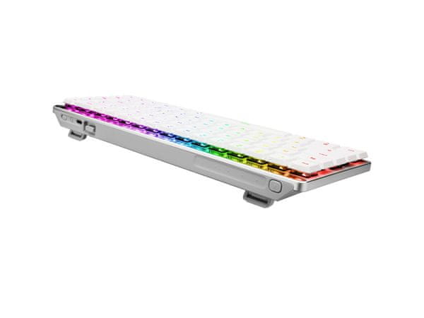 ASUS ROG Falchion RX Low Profile