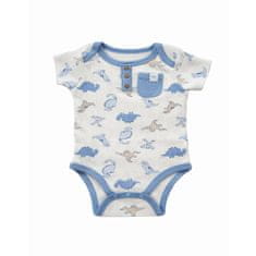 Denis Otroška oblačila, otroško bodi, 1/1 komplet, 0-12 mesecev