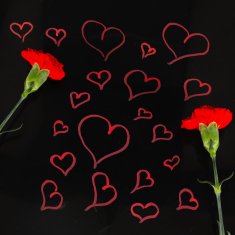 WOWO Akrilni flomastri za tekstil in površine vodoodporni set 24 barv