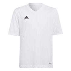 Adidas Majice bela L Entrada 22 Jsy