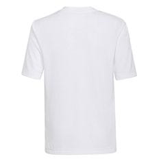 Adidas Majice bela L Entrada 22 Jsy
