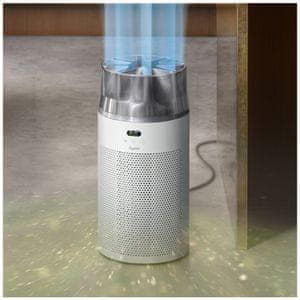 HEPA in ogljikov filter Dyson