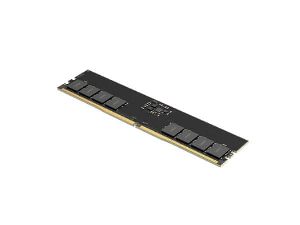 DDR5 Long DIMM arhitektura