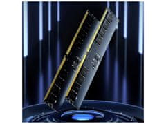 Lexar RAM pomnilnik, 32 GB, 5600 MHz, DDR5 (LD5U32G56C46ST-BGS)