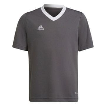 Adidas Majice siva Entrada 22 Jsy
