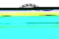 Pilana Žagin list Sawmill TCT wood saw blade 400 x 3 x 30 mm, 40 teeth