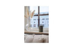 Ostatní Absorber vlage Moisture absorber Everbrand Bag, up to 60 m3, green