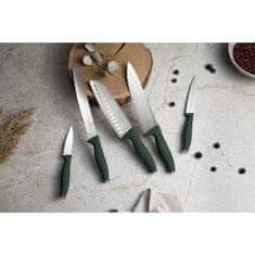 Berlingerhaus Komplet nožev BH-2978 with magnetic holder made of acacia wood 6 pcs Matte Green Collection