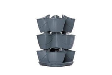 Prosperplast Lonec za rože 150504 COUBI HERBAL parsley set, 295 mm, graphite