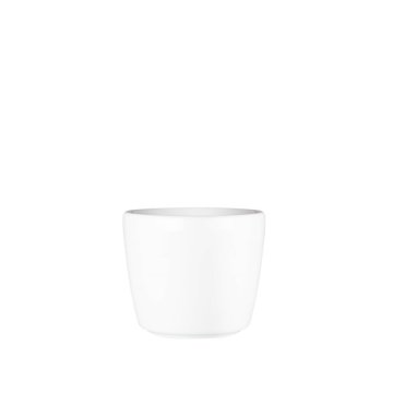 G. Benedikt Optimo skodelica / brez ročaja / 14cl / 6 kos