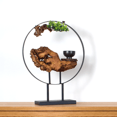 Bondek Pokojová bonsai na podstavci - (PN-59)3