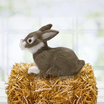 Rayher.	 Zajček, rjavo-siv, 6cm,premium kvaliteta