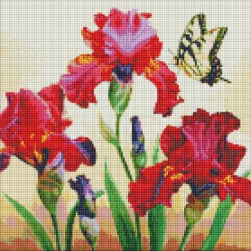 Rayher.	 Diamantni mozaik, Exquisite irises, 40x40 cm