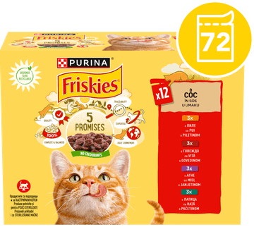 Friskies Adult mokra hrana za mačke, piščanec, govedina, jagnjetina in raca v omaki, 72 x 85g