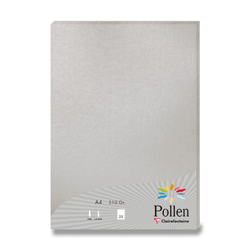 Clairefontaine Barvni dopisni karton, A4, 25 kosov - srebrn