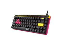 ASUS ROG Falchion Ace HFX ZywOo tipkovnica, RGB, USB, US (90MP04KE-BKUA20)