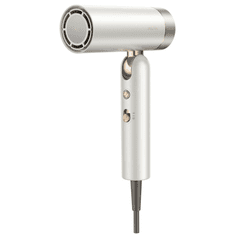 Flip 10 sušilnik las z ionsko tehnologijo (AMFL10)