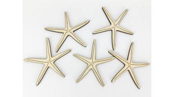 Rayher.	 Morske zvezde, set 5, 8cm, leseni dekor