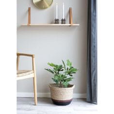 House Nordic Stenska polica 80x20 cm rjava